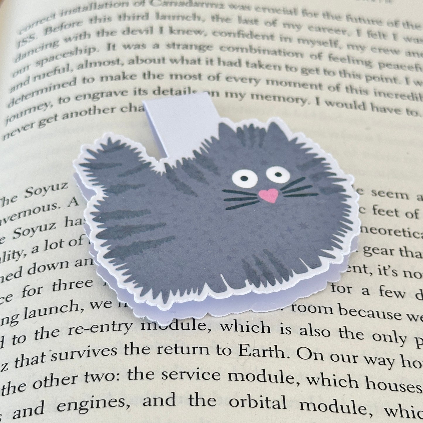 grey cat bookmark on an open book