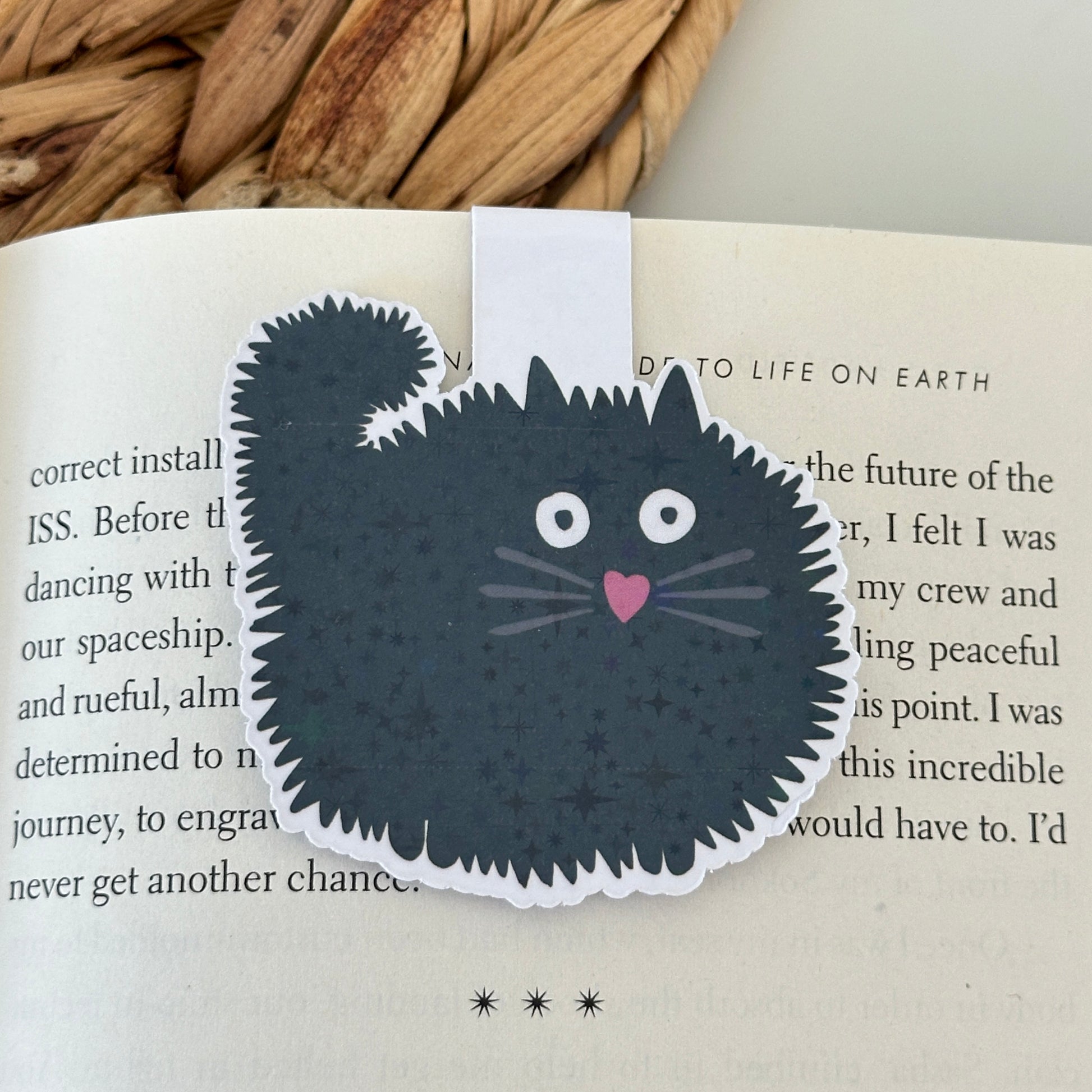 black cat bookmark on an open book